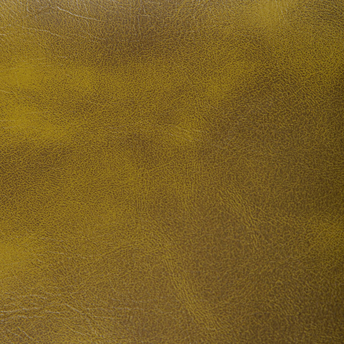 Kravet Contract Rambler Cactus Fabric Sample RAMBLER.130.0