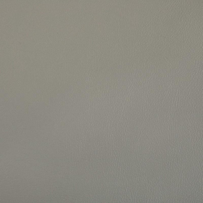 Kravet Contract Rand Porcini Fabric Sample RAND.11.0