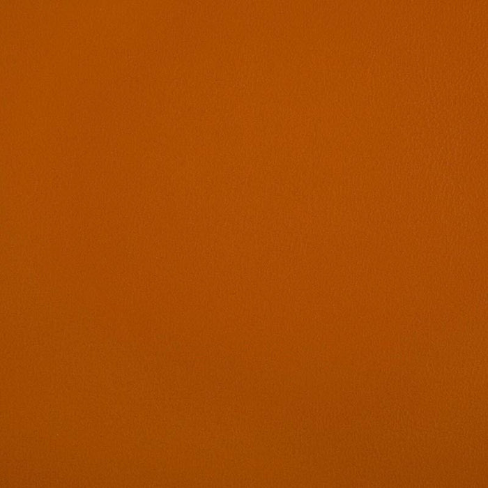 Kravet Contract Rand Squash Fabric Sample RAND.12.0