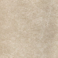 Kravet Contract Reboot Fossil Fabric REBOOT.116.0