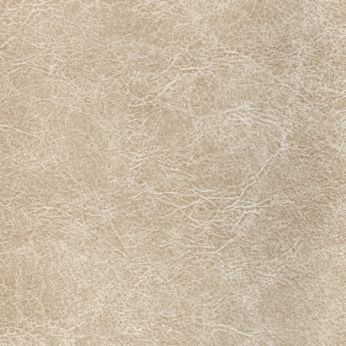 Kravet Contract Reboot Fossil Fabric REBOOT.116.0