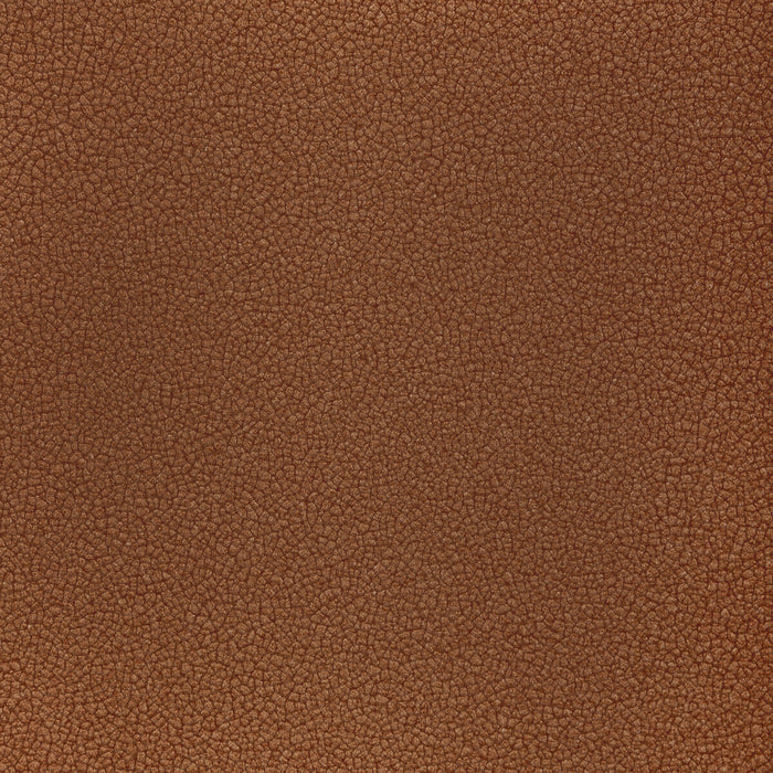Kravet Contract Reset Nutmeg Fabric RESET.24.0