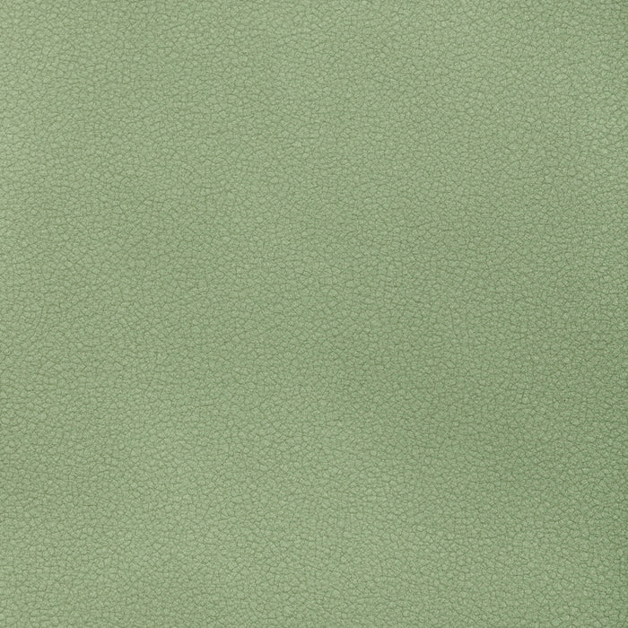 Kravet Contract Reset Spearmint Fabric Sample RESET.313.0
