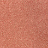Kravet Contract Reset Dogwood Fabric RESET.712.0