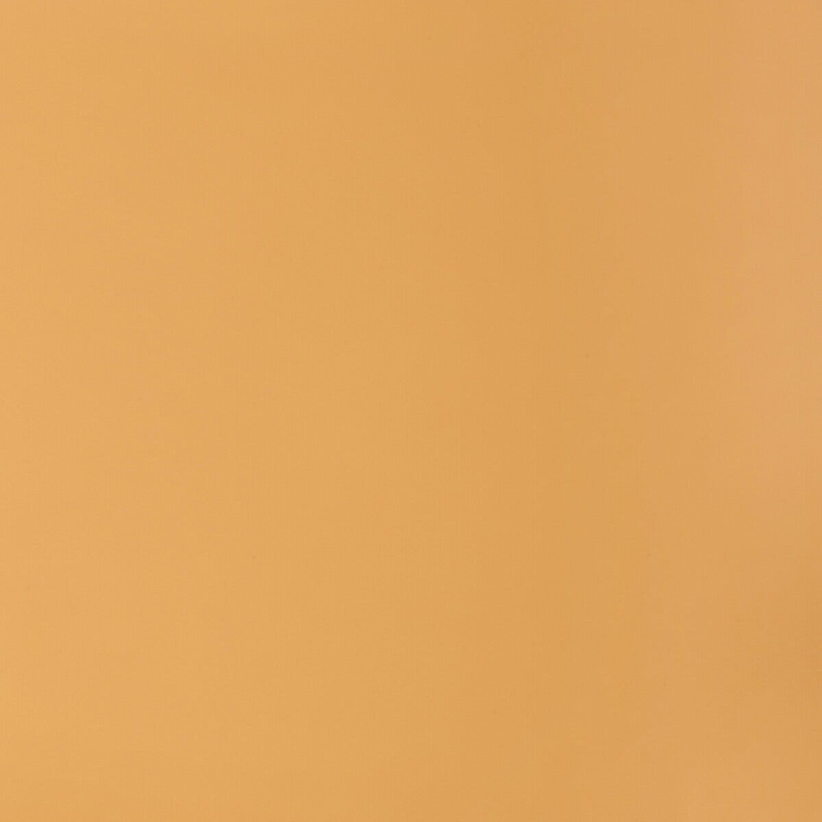 Kravet Contract Retouch Buck Fabric RETOUCH.16.0