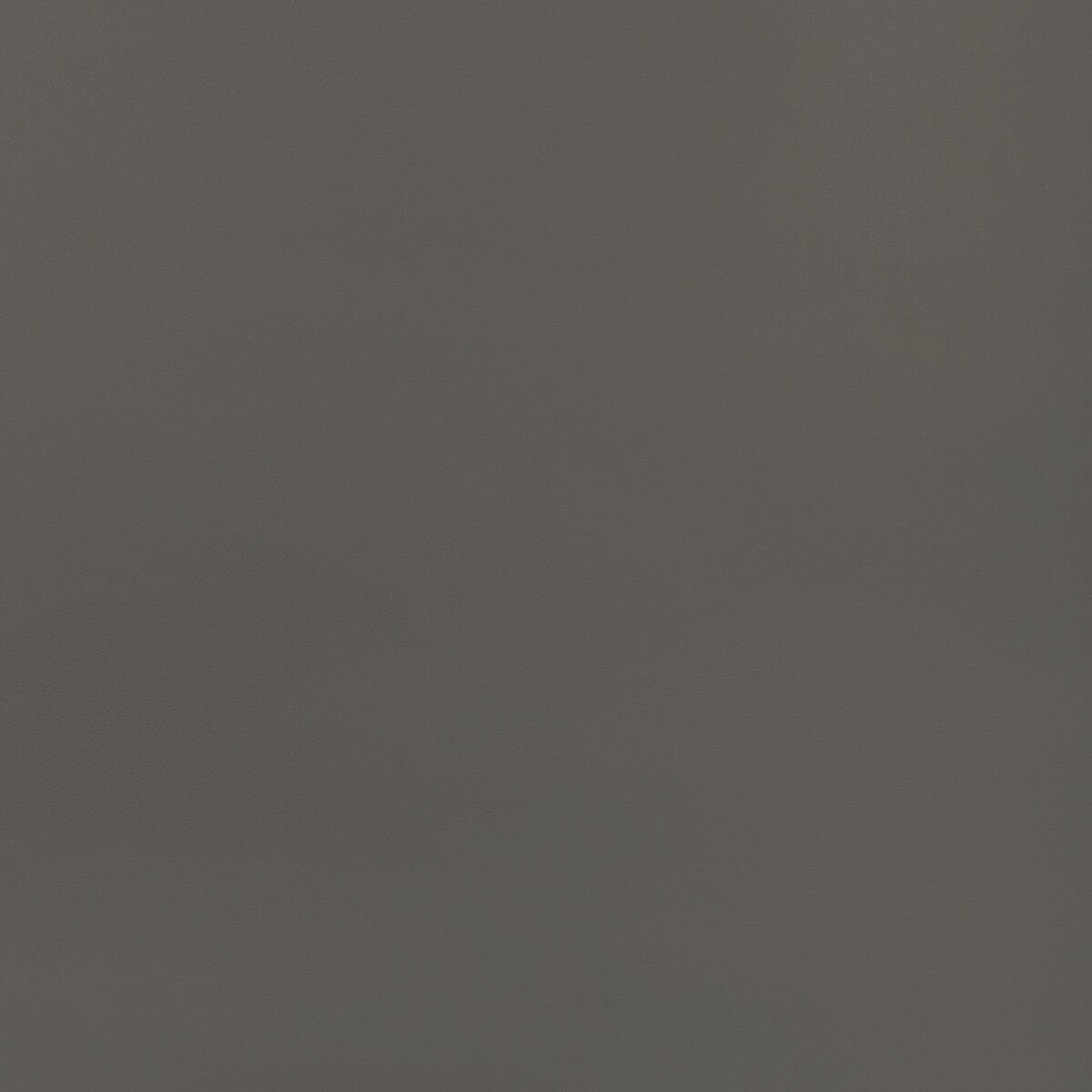 Kravet Contract Retouch Thunder Fabric RETOUCH.21.0