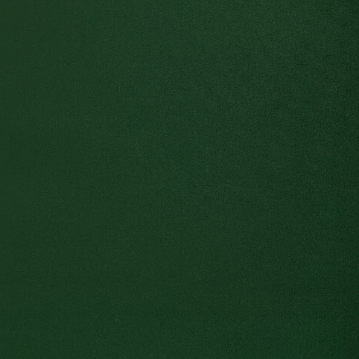 Kravet Contract Retouch Woodland Fabric RETOUCH.33.0