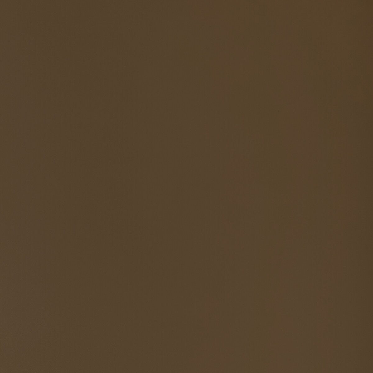 Kravet Contract Retouch Truffle Fabric RETOUCH.606.0