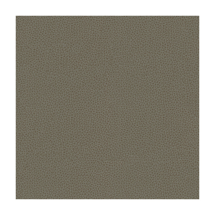 Kravet Smart RIGEL.11.0 Rigel-11 Fabric Sample