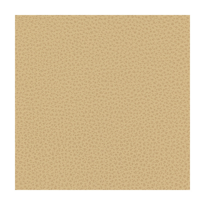 Kravet Smart RIGEL.16.0 Rigel-16 Fabric