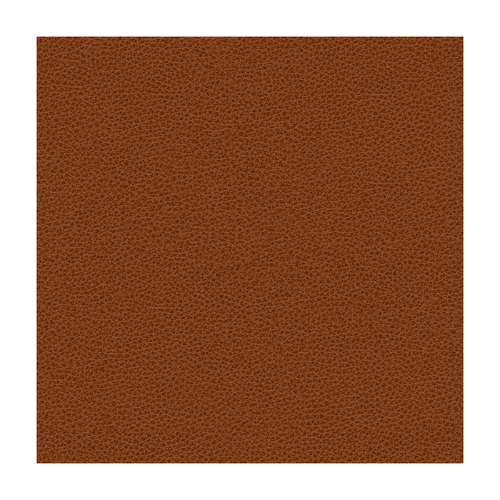 Kravet Smart RIGEL.24.0 Rigel-24 Fabric Sample