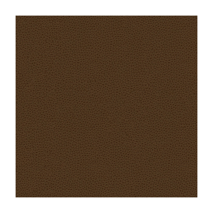 Kravet Smart RIGEL.6.0 Rigel-6 Fabric