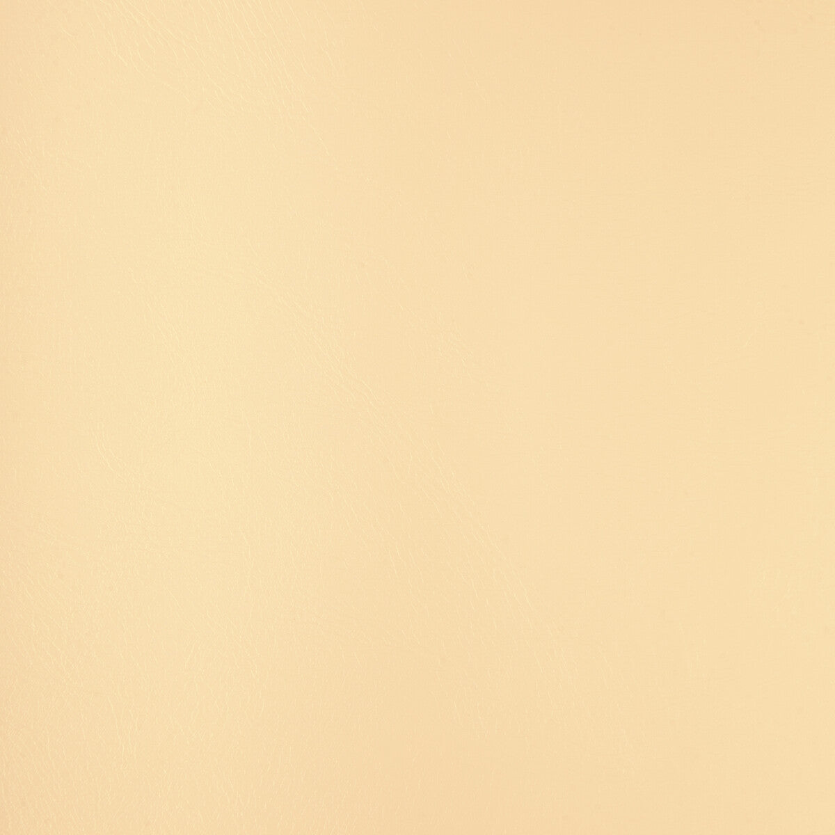 Kravet Design RIND.101.0 Fabric