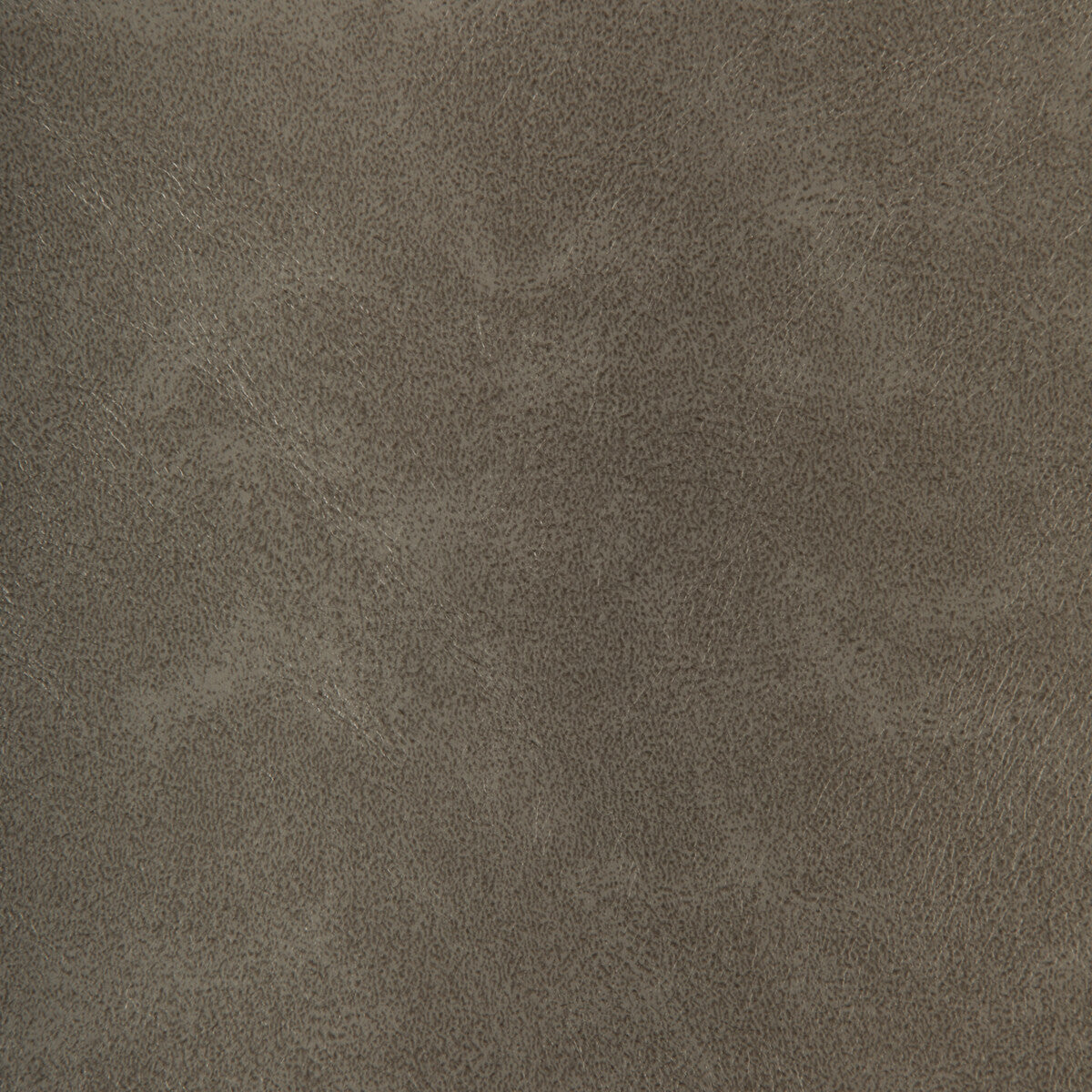 Kravet Design RIND.11.0 Fabric