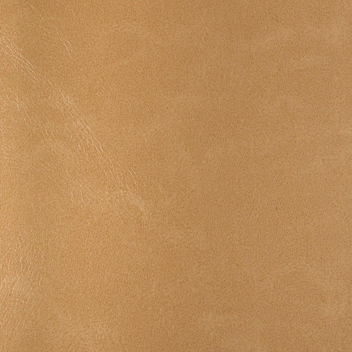 Kravet Design RIND.116.0 Fabric