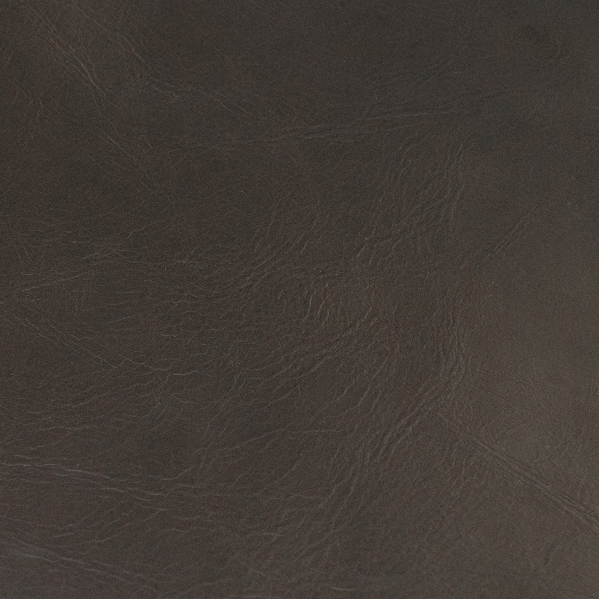JF Fabrics Rodeo 96 Fabric Sample 9552396