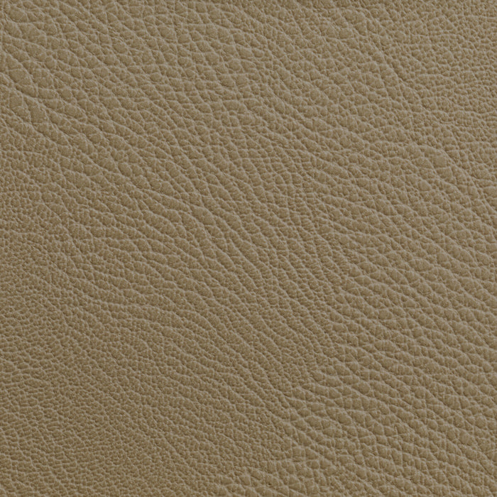 Kravet Contract Rustler Cashew Fabric Sample RUSTLER.16.0