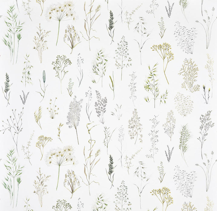 Pierre Frey Les Graminees Herbe Wallpaper FP107001