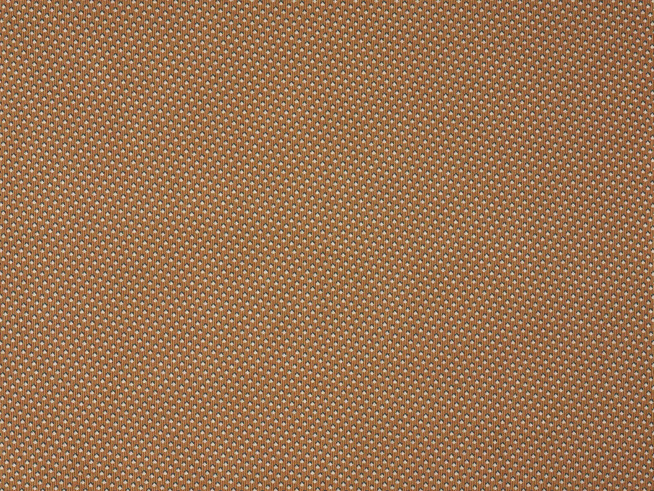 Braquenie Montresor Miel Fabric Sample B7663003
