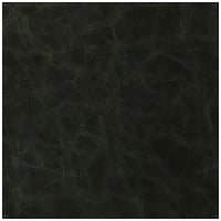 Kravet Contract Santina Loden Fabric SANTINA.303.0