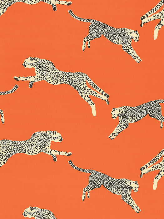 Scalamandre Leaping Cheetah Cotton Print Clementine Fabric SC166340002