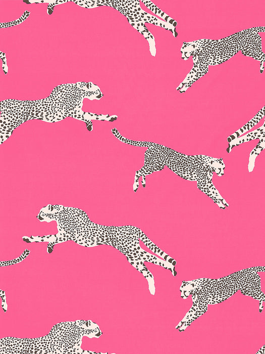 Scalamandre Leaping Cheetah Cotton Print Bubblegum Fabric SC166340003