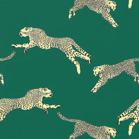 Scalamandre Leaping Cheetah Cotton Print Evergreen Fabric SC166340005