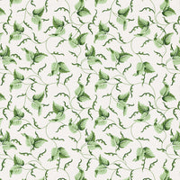 Scalamandre Angle Leaf Print Moss Fabric SC166670001