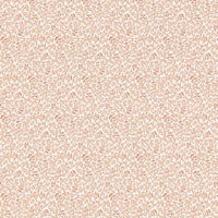 Scalamandre Bandbox Print Peach Fabric SC166680002