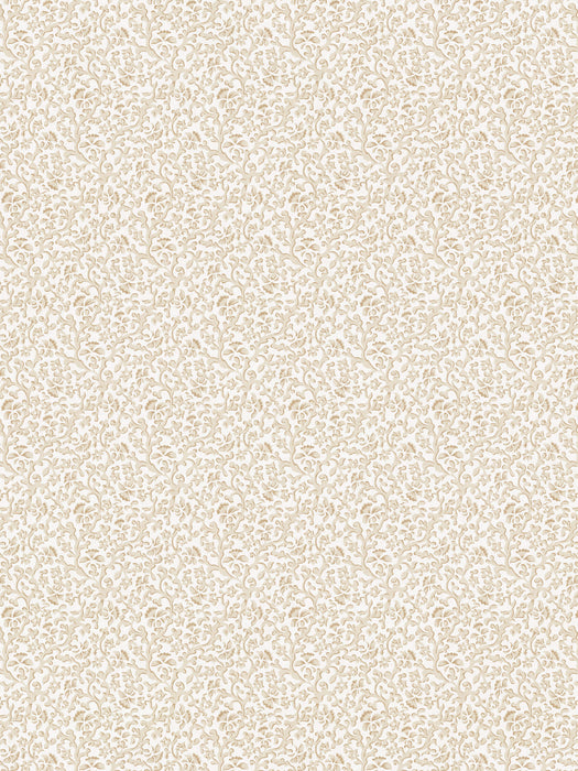 Scalamandre Bandbox Print Hazelnut Fabric Sample SC166680007