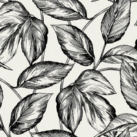 Seabrook Designs Beckett Sketched Leaves Volcanic Black Wallpaper SC20000