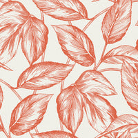 Seabrook Designs Beckett Sketched Leaves Rich Coral Wallpaper SC20001