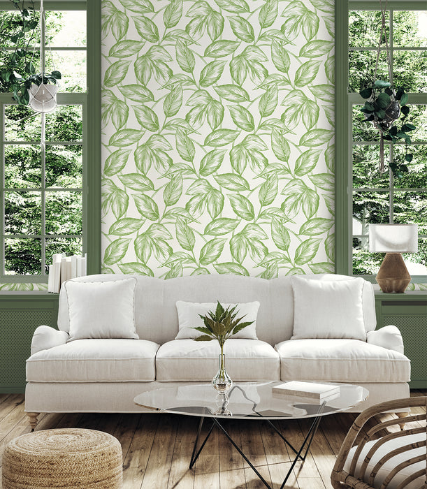 Seabrook Designs Beckett Sketched Leaves Apple Green Wallpaper Sample SC20004