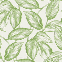 Seabrook Designs Beckett Sketched Leaves Apple Green Wallpaper SC20004