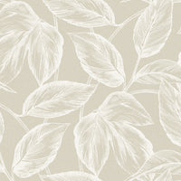 Seabrook Designs Beckett Sketched Leaves Oat Wallpaper SC20005