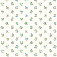 Scalamandre Summer Flora Wallcovering Key Lime Wallpaper SCWP81053D0009