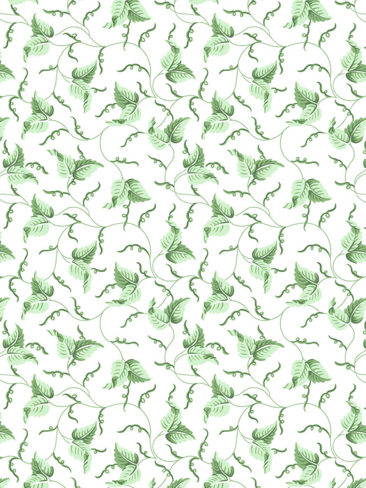 Scalamandre Angle Leaf Wallcovering Moss Wallpaper Sample SCWP81525D0003