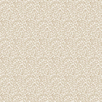 Scalamandre Bandbox Wallcovering Hazelnut Wallpaper SCWP88087D0001