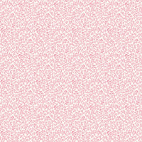 Scalamandre Bandbox Wallcovering Posey Wallpaper SCWP88087D0004