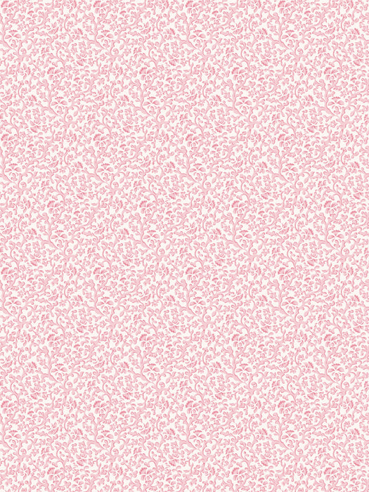 Scalamandre Bandbox Wallcovering Posey Wallpaper SCWP88087D0004