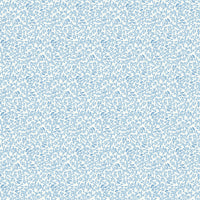 Scalamandre Bandbox Wallcovering Document Sky Wallpaper SCWP88087D0007