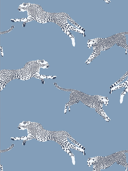 Scalamandre Leaping Cheetah Cloud Nine Wallpaper SCWP884490004