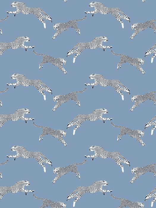 Scalamandre Leaping Cheetah Cloud Nine Wallpaper SCWP884490004