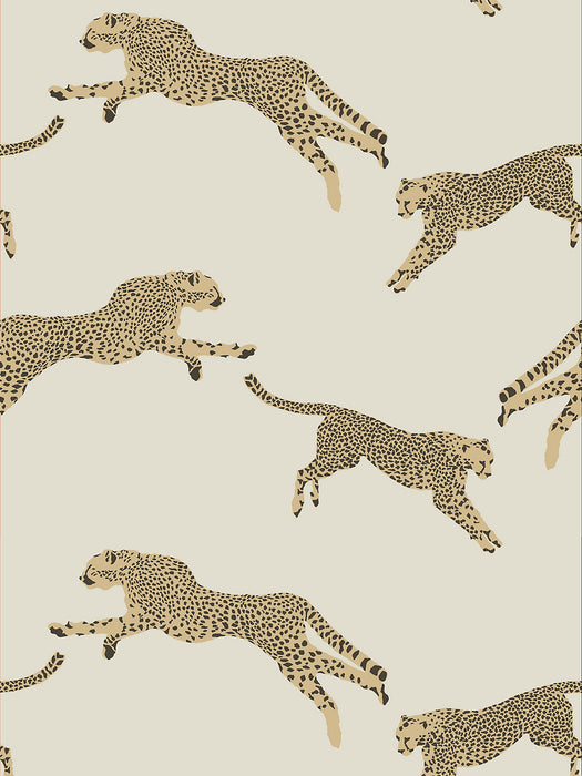 Scalamandre Leaping Cheetah Dune Wallpaper SCWP884490001