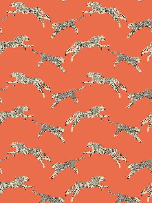 Scalamandre Leaping Cheetah Clementine Wallpaper Sample SCWP88449D0002