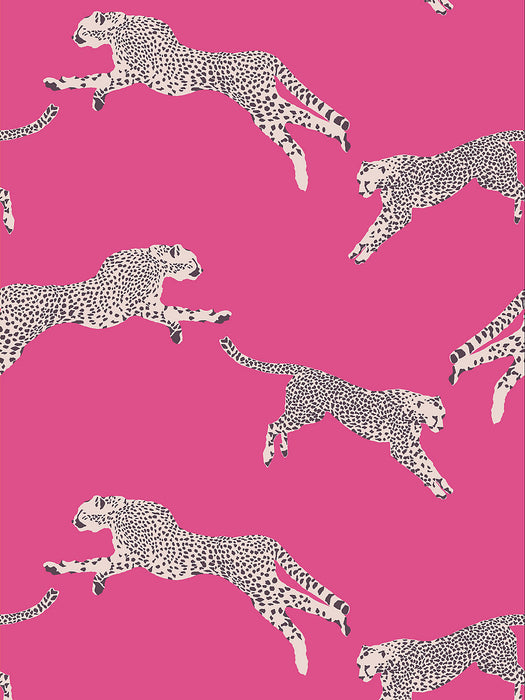 Scalamandre Leaping Cheetah Bubblegum Wallpaper Sample SCWP88449D0003