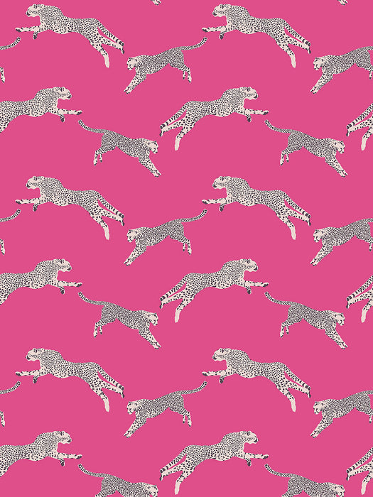 Scalamandre Leaping Cheetah Bubblegum Wallpaper Sample SCWP88449D0003