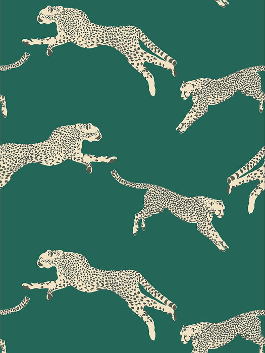 Scalamandre Leaping Cheetah Evergreen Wallpaper SCWP884490006