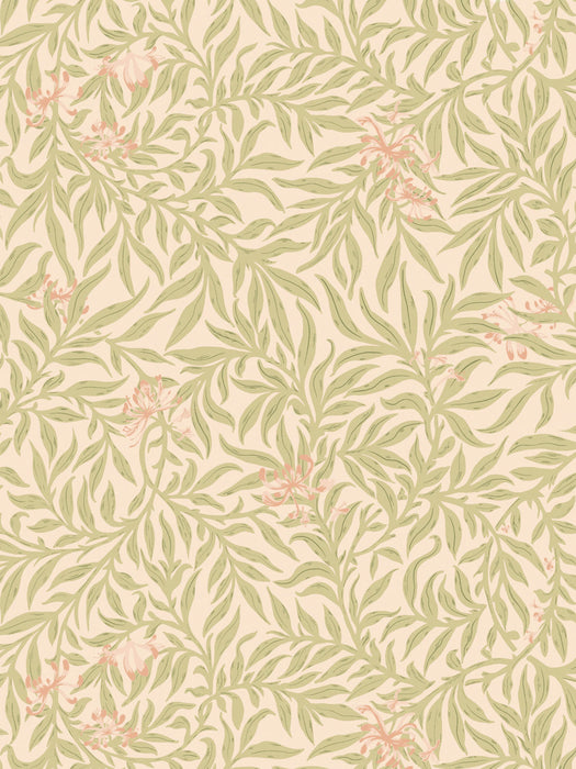 Scalamandre Honeysuckle Wallcovering Lime Peach Wallpaper Sample SCWP88617D0002