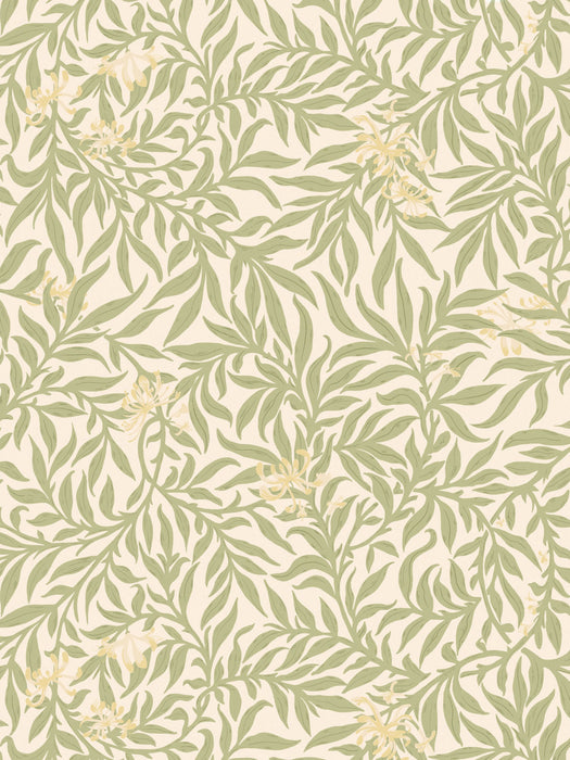 Scalamandre Honeysuckle Wallcovering Sage Wallpaper Sample SCWP88617D0004